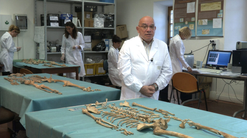 Prof Fornaciari