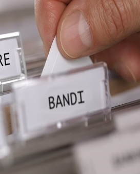 Bandi 0