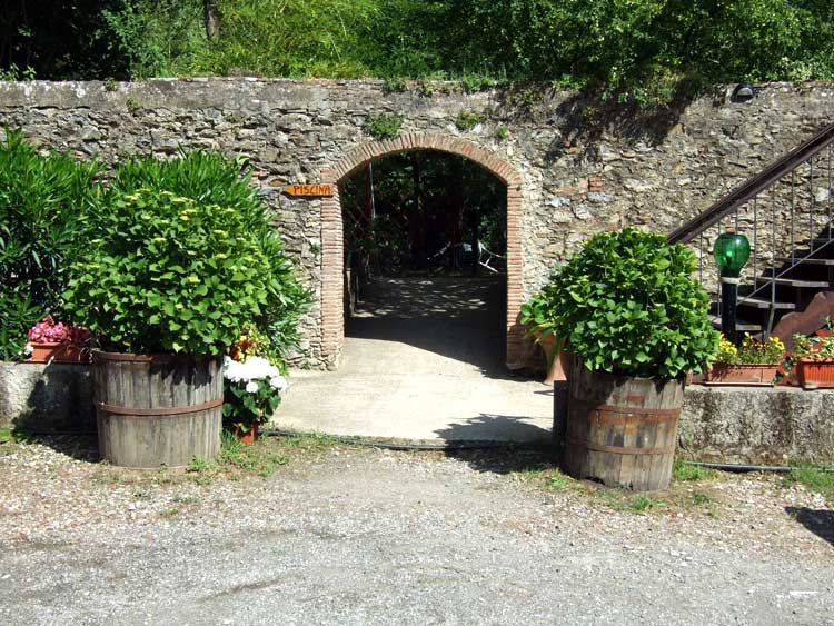 Ficaia1