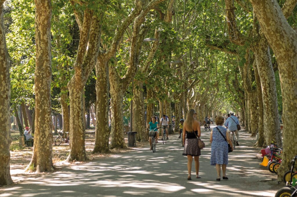 La Pineta Di Ponente Restituita Al Suo Splendore 10
