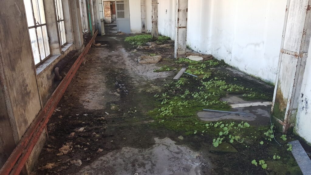 Manifattura Interno1
