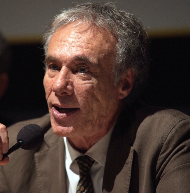 Michele Ainis