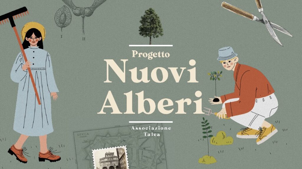 Nuovi Alberi Talea 0