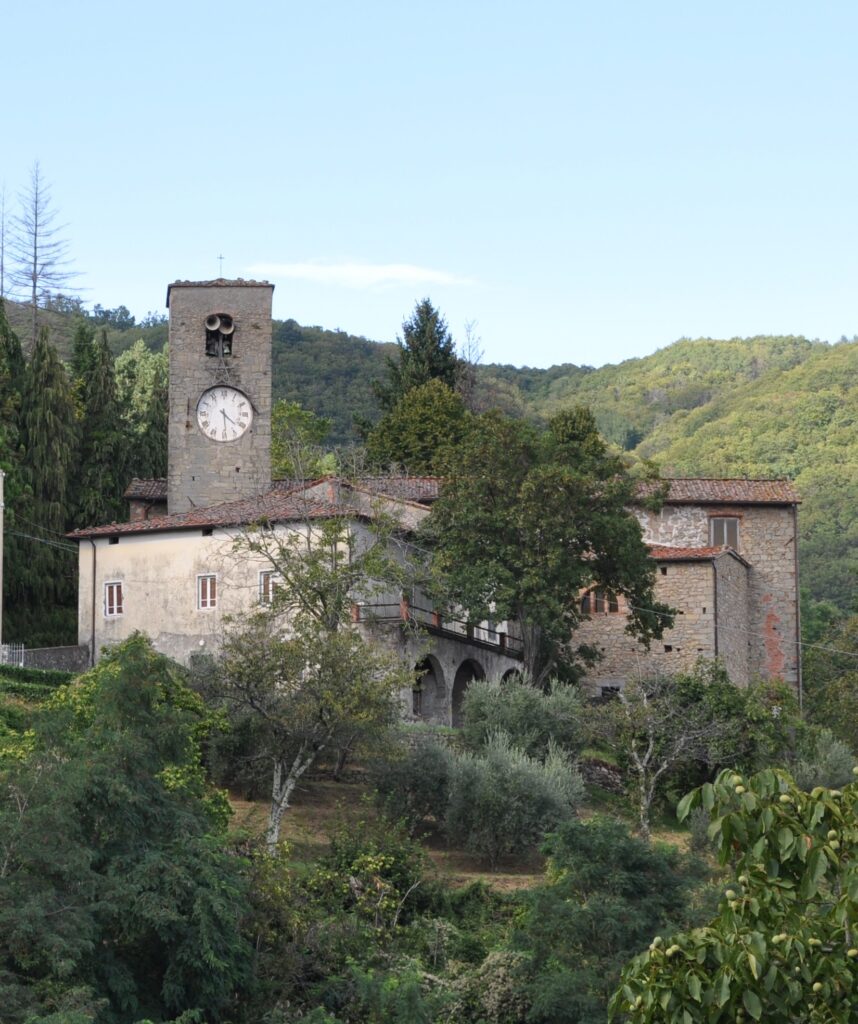 Pariana