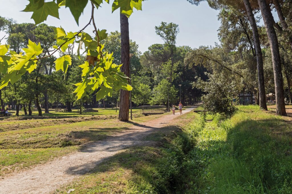 La Pineta Di Ponente Restituita Al Suo Splendore 11 1024x682