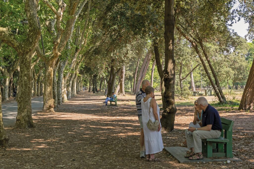 La Pineta Di Ponente Restituita Al Suo Splendore 13 1024x682