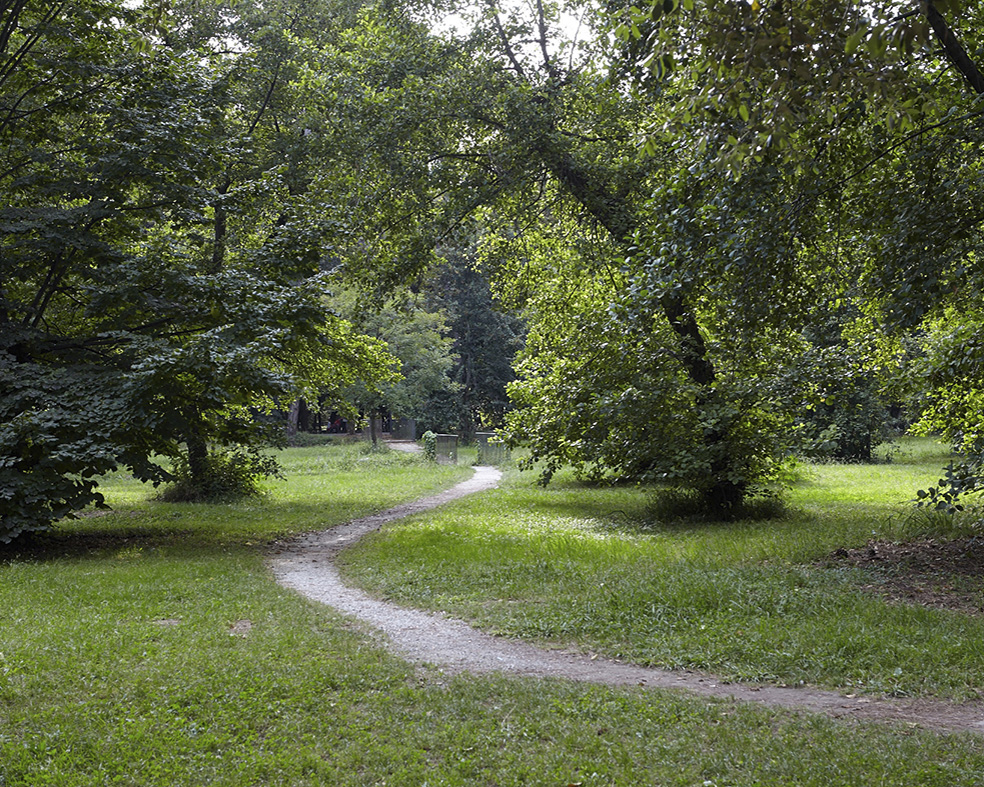 La Pineta Di Ponente Restituita Al Suo Splendore 2