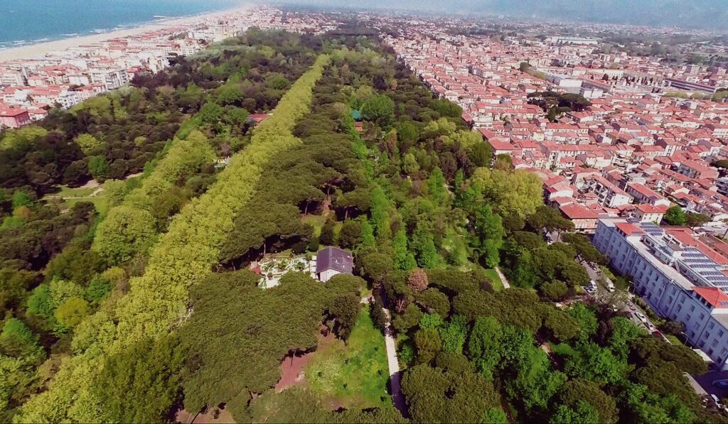 La Pineta Di Ponente Restituita Al Suo Splendore 3 1024x597