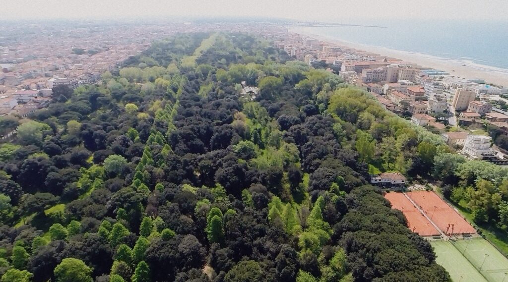 La Pineta Di Ponente Restituita Al Suo Splendore 4 1024x569