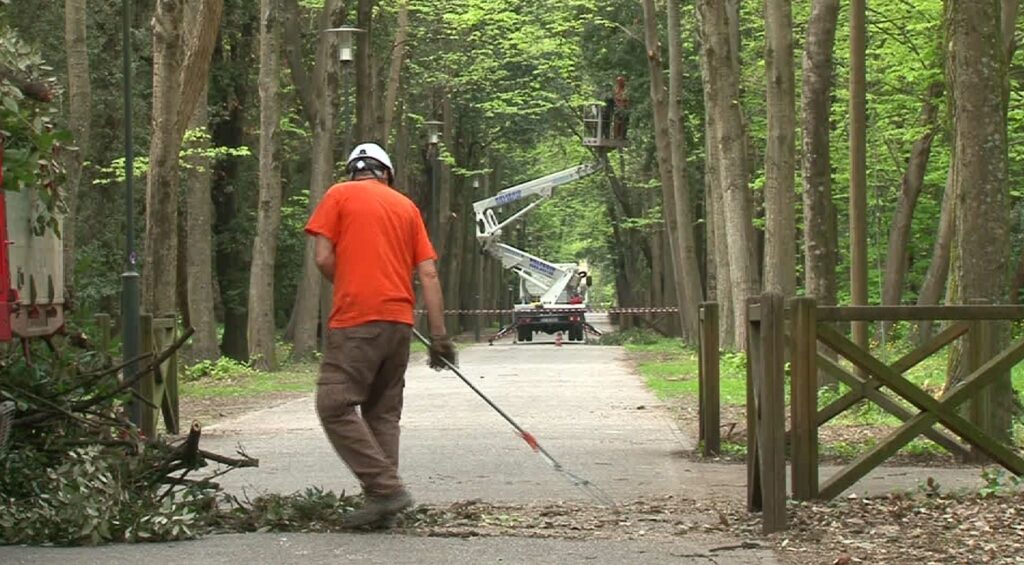 Lavori Alla Pineta Di Ponente 6 1024x565