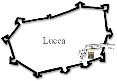 Piantina 0