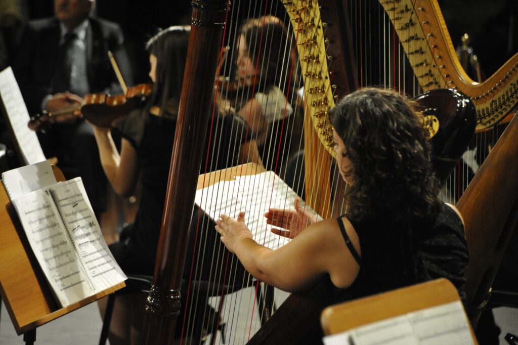 Anniversario In Concerto 2017 La Musica Dalla Terra Alle Stelle Dario Marinelli E Roberto Battiston 8 1024x682