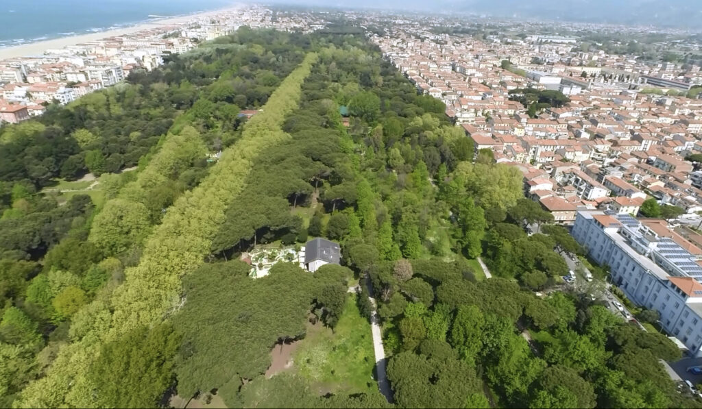 Il Recupero Della Pineta Di Ponente A Viareggio 1 1024x597