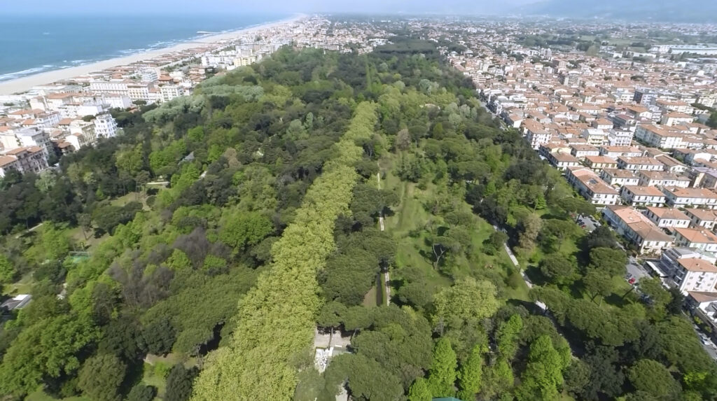 Il Recupero Della Pineta Di Ponente A Viareggio 2 1024x573