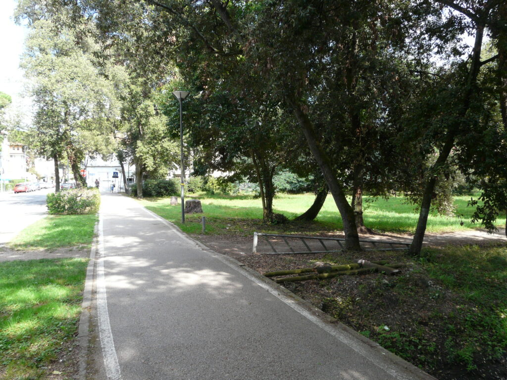 Il Recupero Della Pineta Di Ponente A Viareggio 5 1024x768