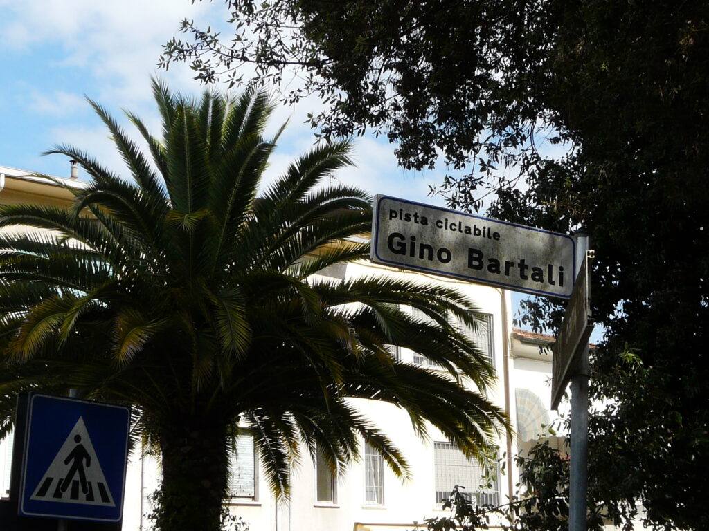 Il Recupero Della Pineta Di Ponente A Viareggio 6 1024x768