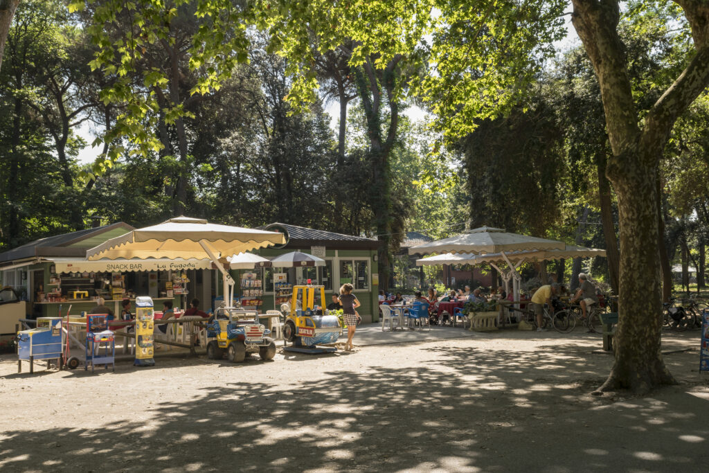 Il Recupero Della Pineta Di Ponente A Viareggio 8 1024x683