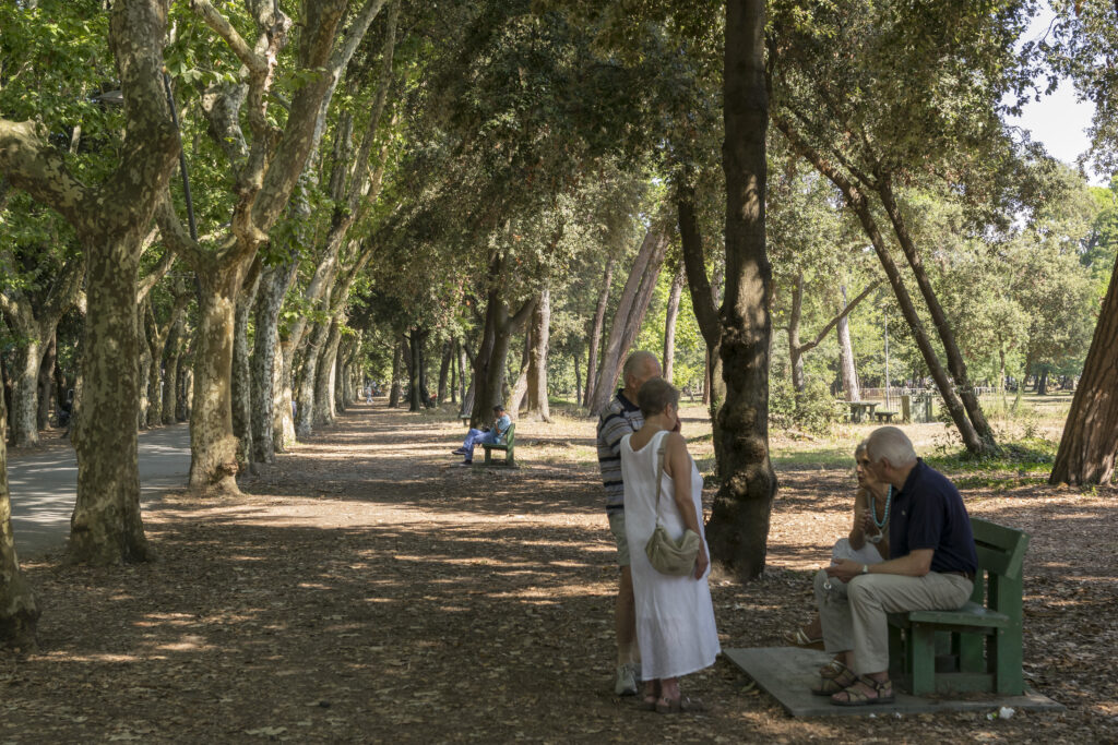 Il Recupero Della Pineta Di Ponente A Viareggio 9 1024x683