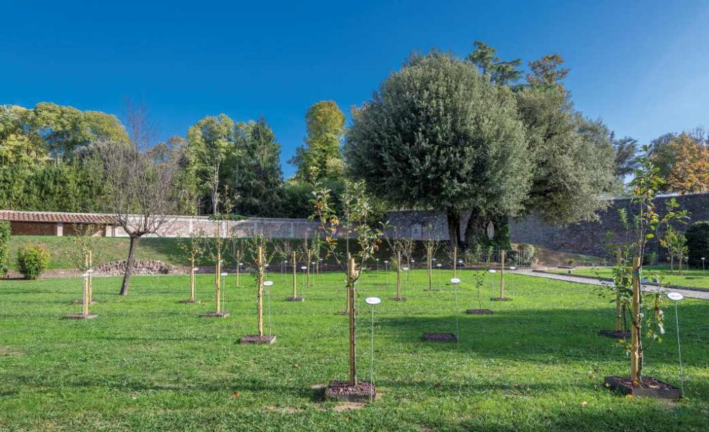 Complesso Di San Micheletto Il Pomario 3 1024x625