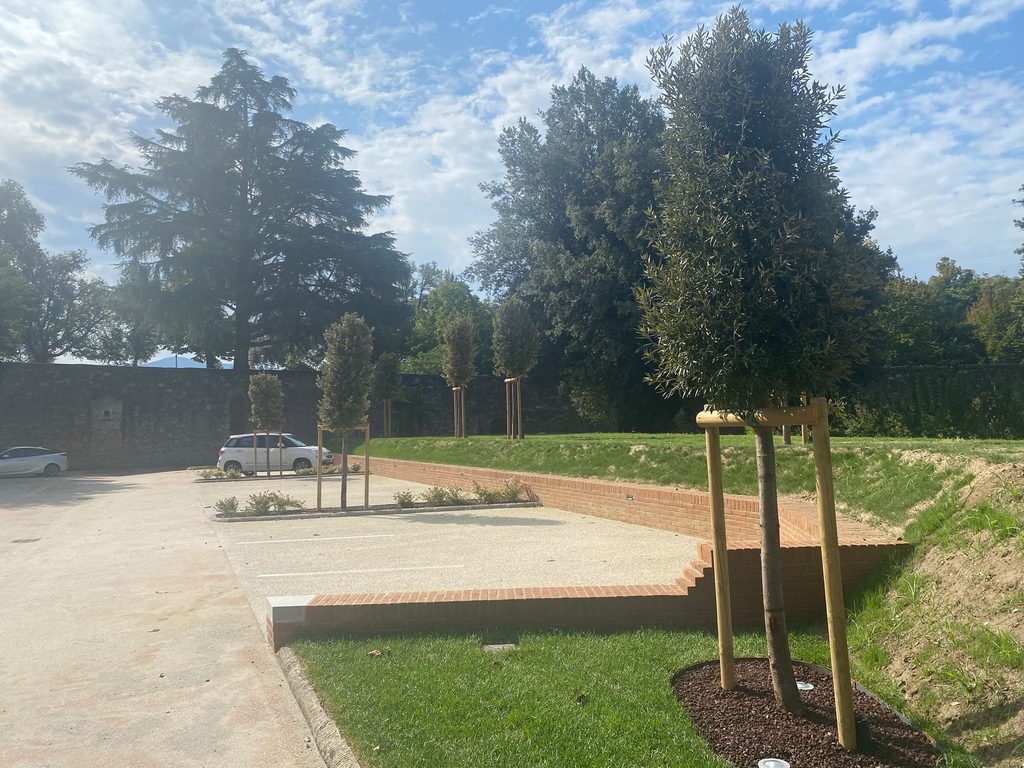 San Micheletto Nuove Piantumazioni 4